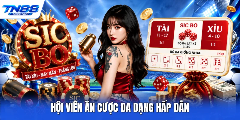 Hội viên ăn cược đa dạng hấp dẫn